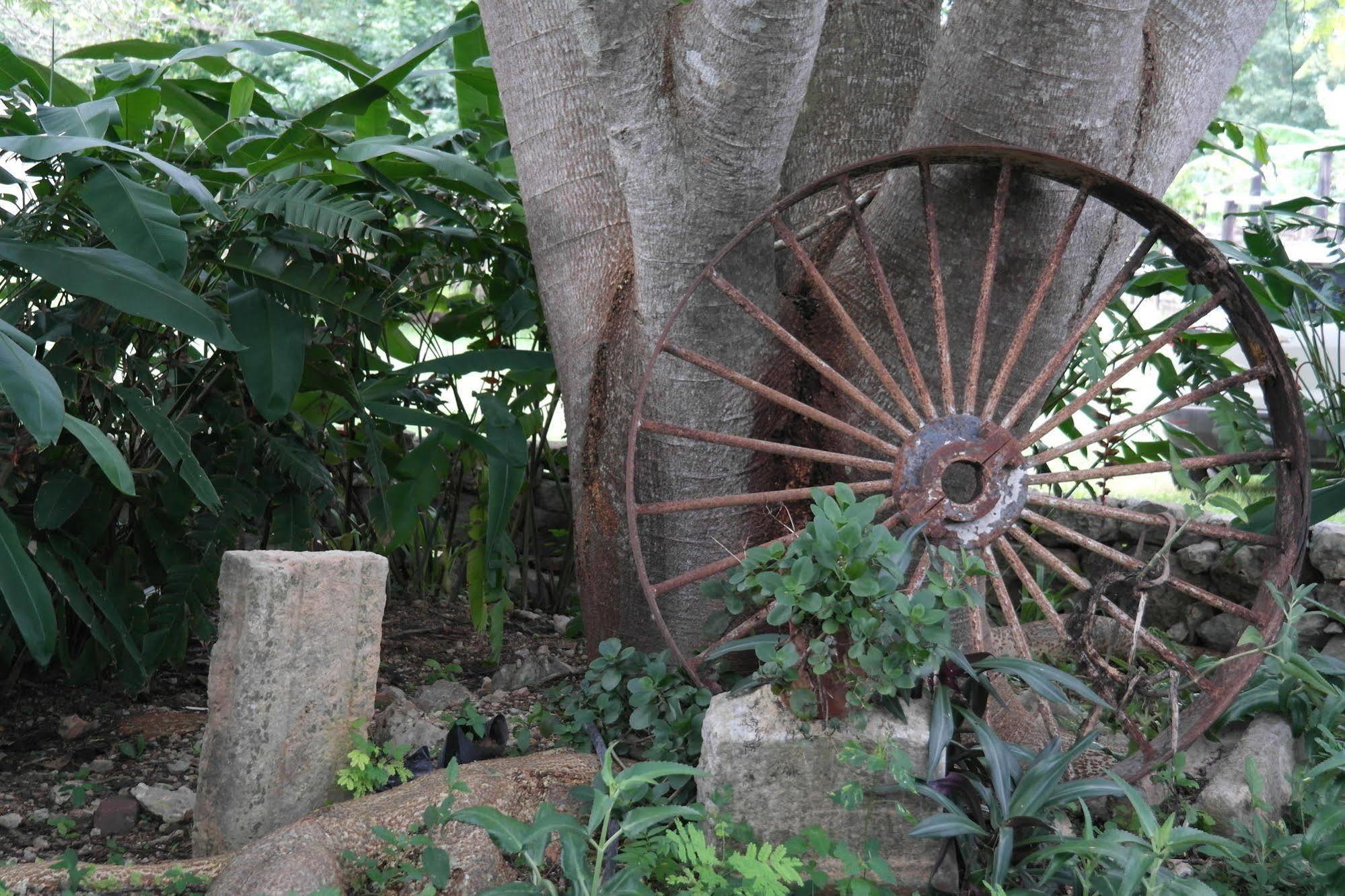فندق Hacienda Tepich المظهر الخارجي الصورة